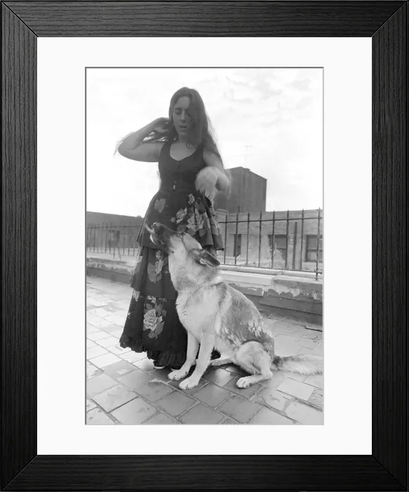 Framed Print : Laura Nyro With A Dog