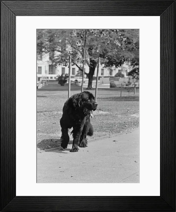 Framed Print : Kennedy In Washington DC Framed Print : Kennedy In Washington DC