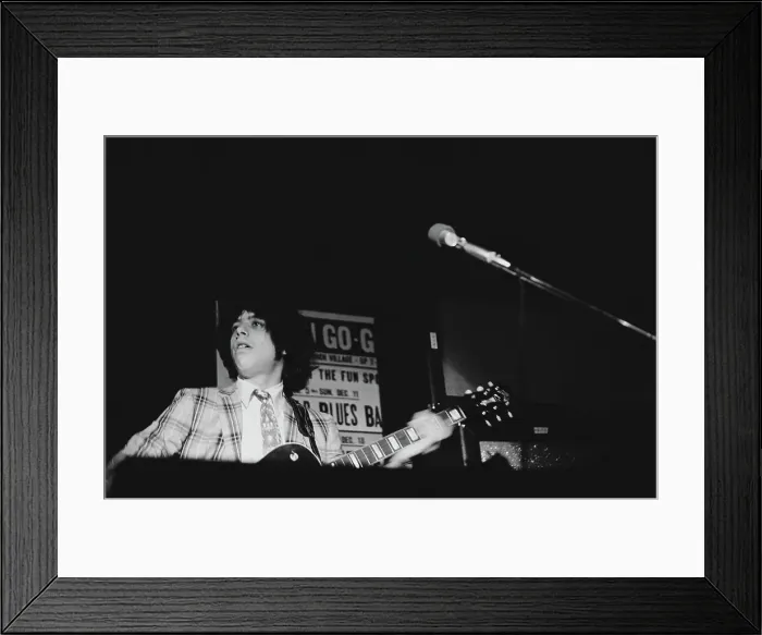 Framed Print : The Youngbloods Framed Print : The Youngbloods