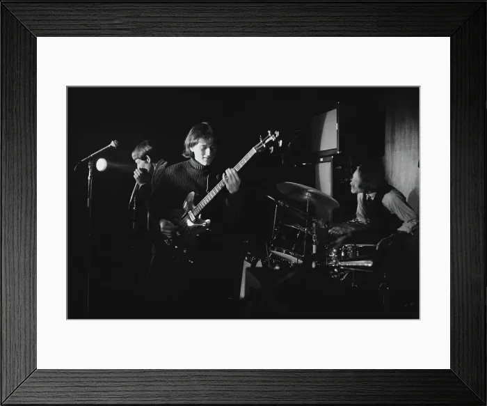 Framed Print : The Youngbloods Framed Print : The Youngbloods