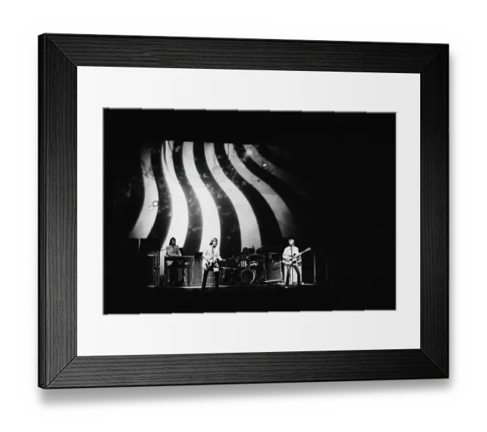 Framed Print : Iron Butterfly Framed Print : Iron Butterfly