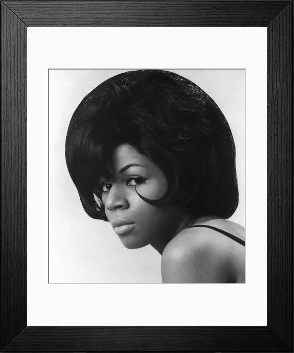 Framed Print : Chess Records Portrait Framed Print : Chess Records Portrait