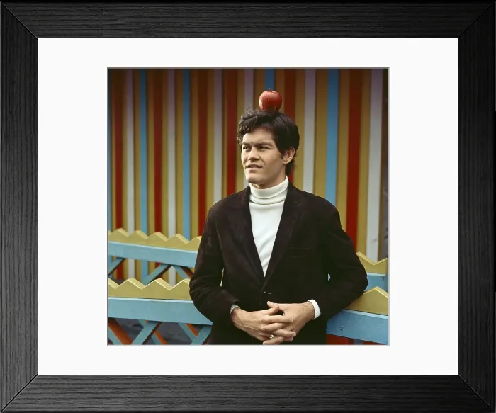 Framed Print : Mickey Dolenz Of The Monkees Framed Print : Mickey Dolenz Of The Monkees