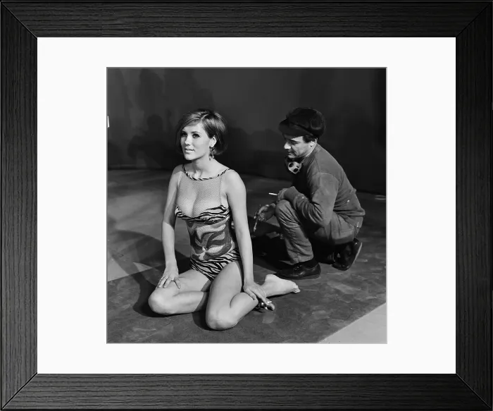 Framed Print : The Los Angeles Paint-In