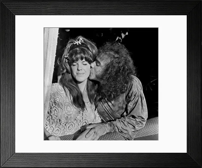 Framed Print : Hippies Enjoy The Sunshine