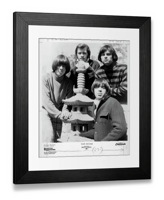 Framed Print : The Seeds. LOS ANGELES - CIRCA 1967: The Seeds Framed Print : The Seeds. LOS ANGELES - CIRCA 1967: The Seeds