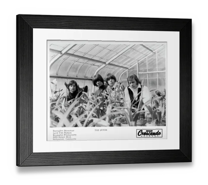 Framed Print : The Seeds. LOS ANGELES - CIRCA 1967: The Seeds Framed Print : The Seeds. LOS ANGELES - CIRCA 1967: The Seeds