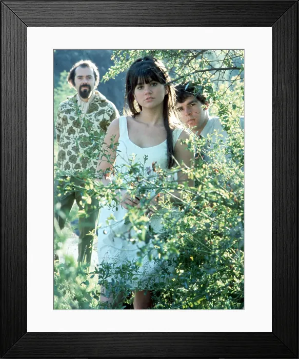 Framed Print : The Stone Poneys Framed Print : The Stone Poneys