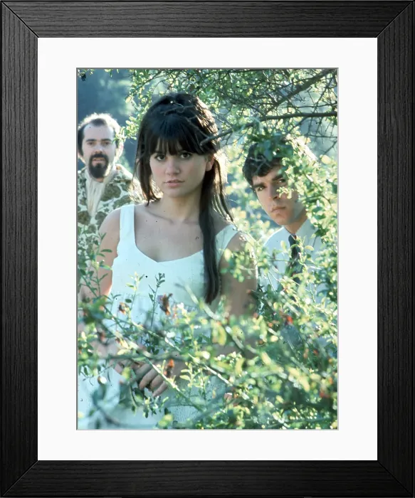 Framed Print : The Stone Poneys Framed Print : The Stone Poneys
