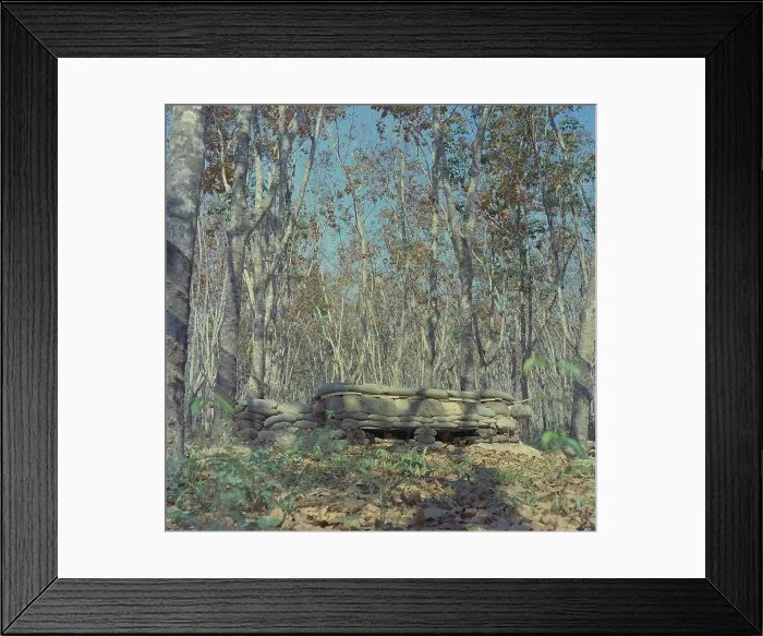 Framed Print : 2nd Battalion 2nd Infantry HQ Framed Print : 2nd Battalion 2nd Infantry HQ