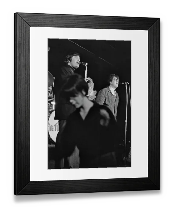 Framed Print : The Turtles Play The Bitter End Framed Print : The Turtles Play The Bitter End