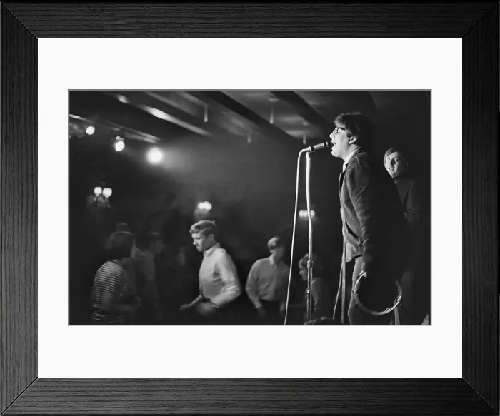 Framed Print : The Turtles Play The Bitter End Framed Print : The Turtles Play The Bitter End