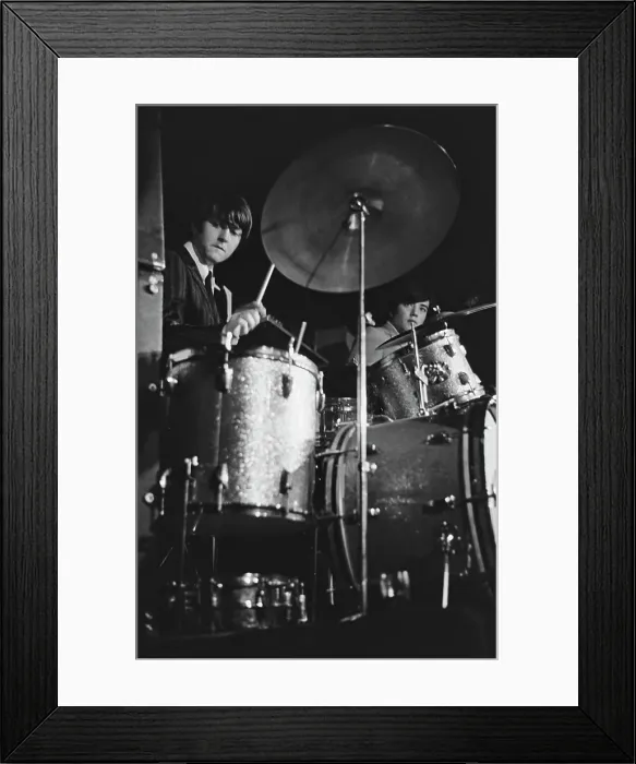 Framed Print : The Turtles Play The Bitter End