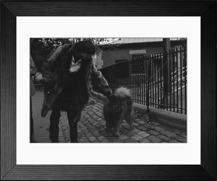 Framed Print : John Sebastian Framed Print : John Sebastian