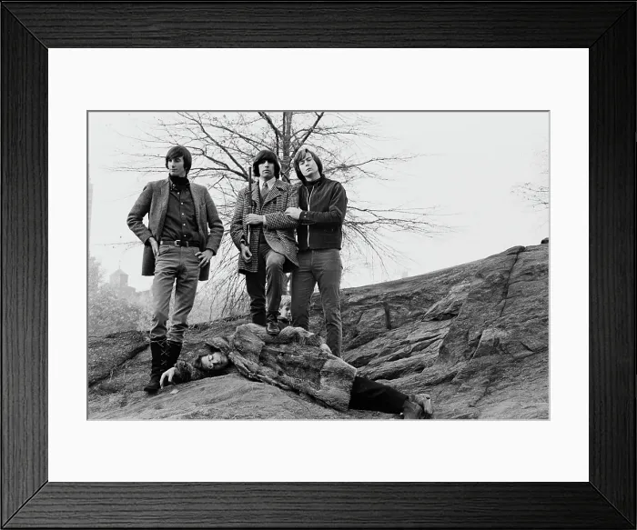 Framed Print : The Lovin Spoonful Framed Print : The Lovin Spoonful