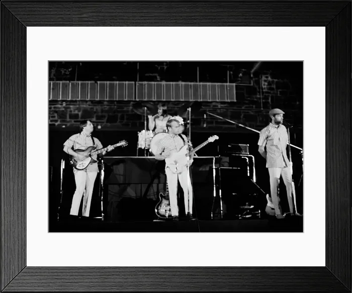 Framed Print : The Beach Boys Framed Print : The Beach Boys