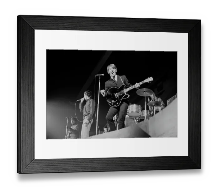 Framed Print : The Hollies On Long Island Framed Print : The Hollies On Long Island