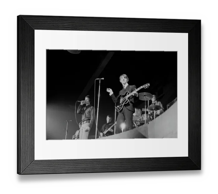 Framed Print : The Hollies On Long Island Framed Print : The Hollies On Long Island