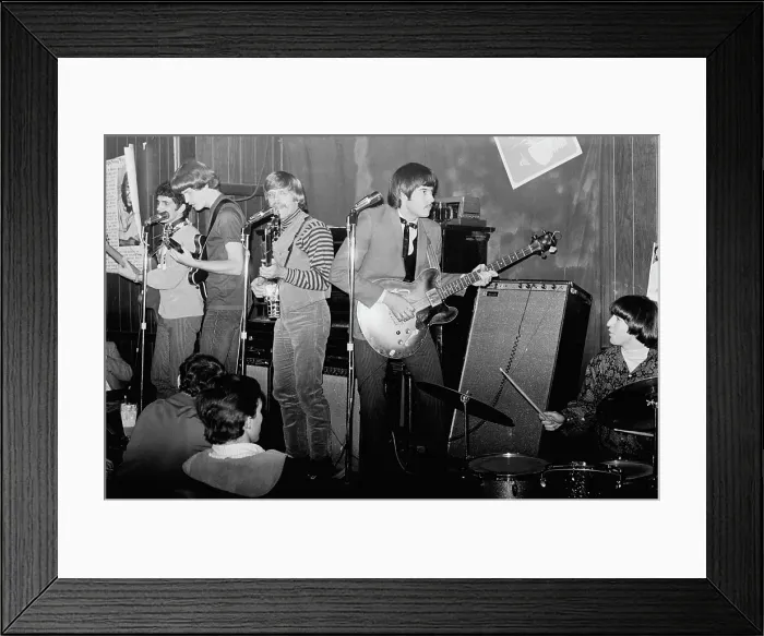 Framed Print : Modern Folk Quartet Framed Print : Modern Folk Quartet