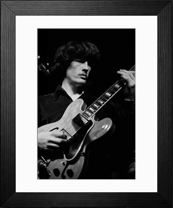 Framed Print : Modern Folk Quartet Framed Print : Modern Folk Quartet