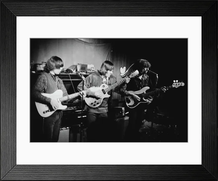 Framed Print : Blues Magoos Framed Print : Blues Magoos