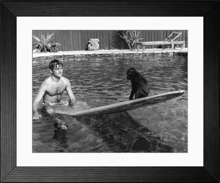 Framed Print : Dick Dale Portrait on a Surfobard Framed Print : Dick Dale Portrait on a Surfobard