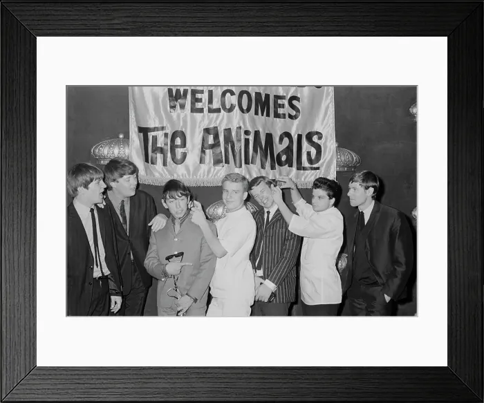 Framed Print : The Animals Framed Print : The Animals