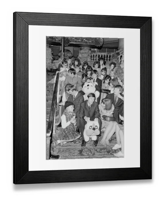 Framed Print : The Animals Framed Print : The Animals