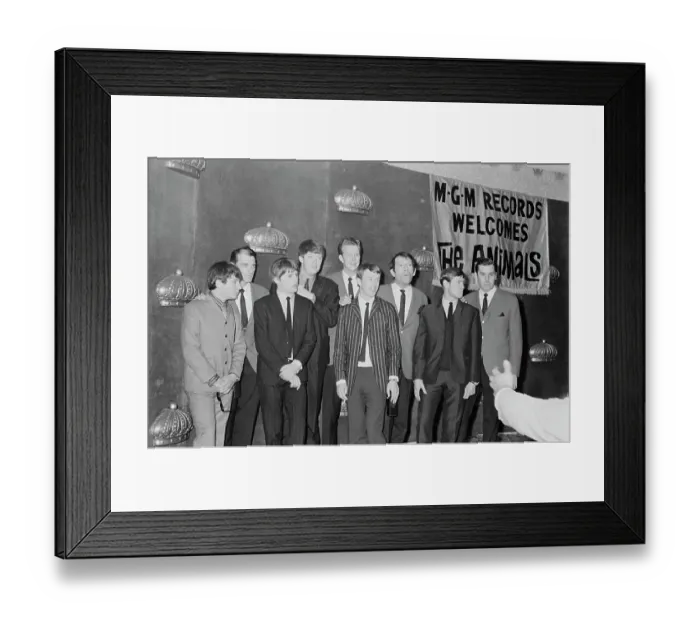 Framed Print : The Animals