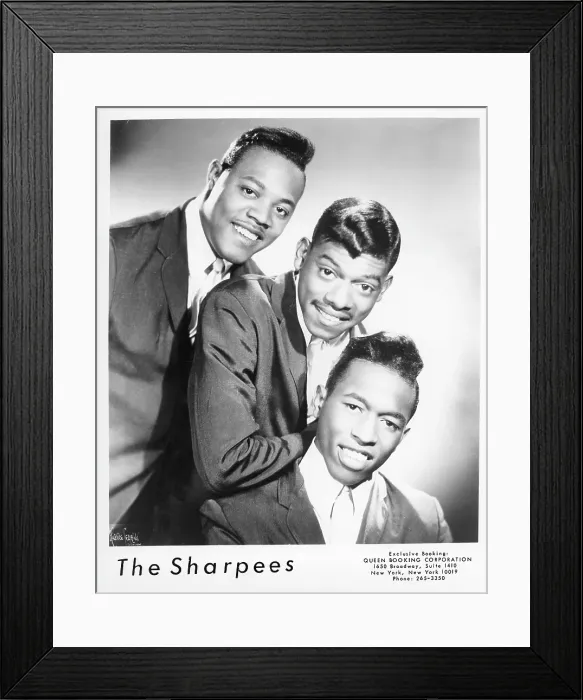 Framed Print : The Sharpees Portrait Framed Print : The Sharpees Portrait