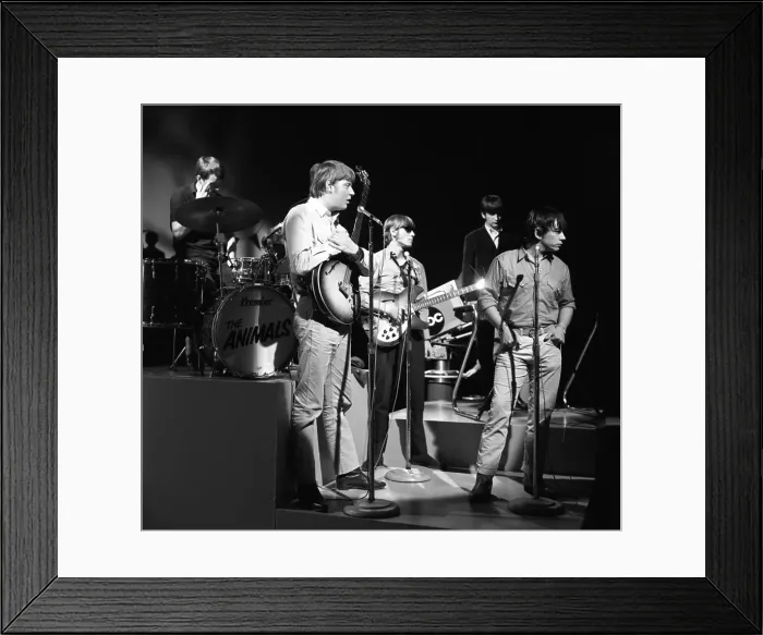 Framed Print : The Animals Perform On ABC TV Framed Print : The Animals Perform On ABC TV