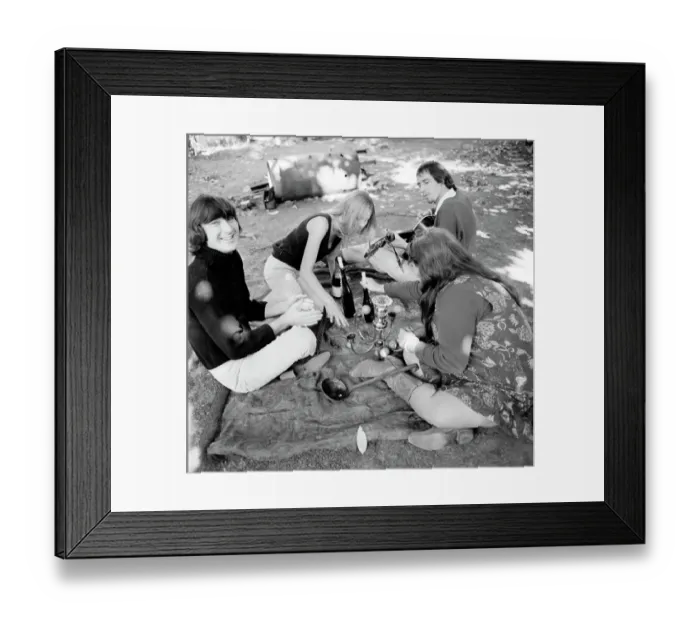 Framed Print : The Mamas And The Papas Picnic