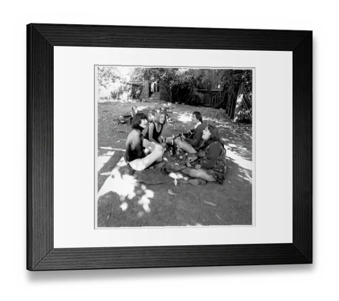 Framed Print : The Mamas And The Papas Picnic Framed Print : The Mamas And The Papas Picnic