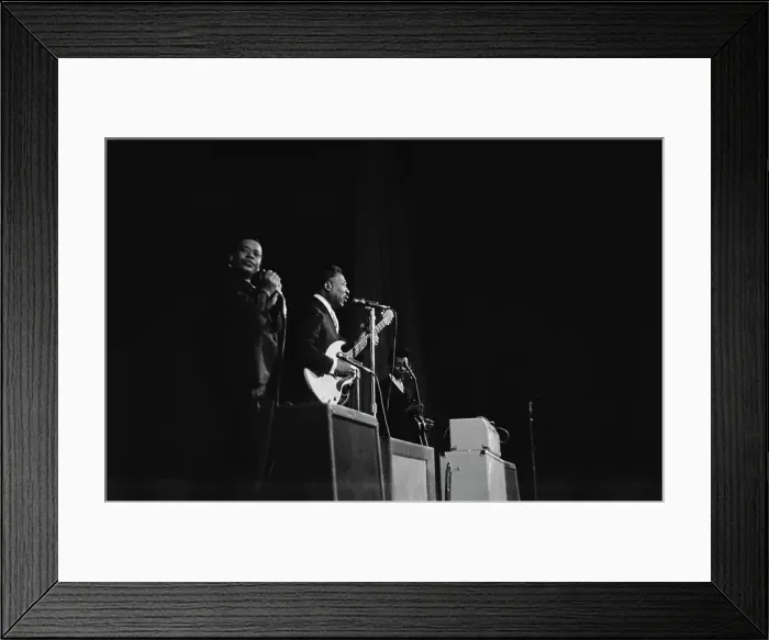 Framed Print : James Cotton & Muddy Waters In Concert Framed Print : James Cotton & Muddy Waters In Concert