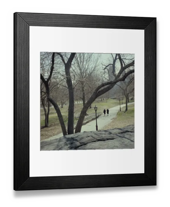 Framed Print : Central Park Framed Print : Central Park