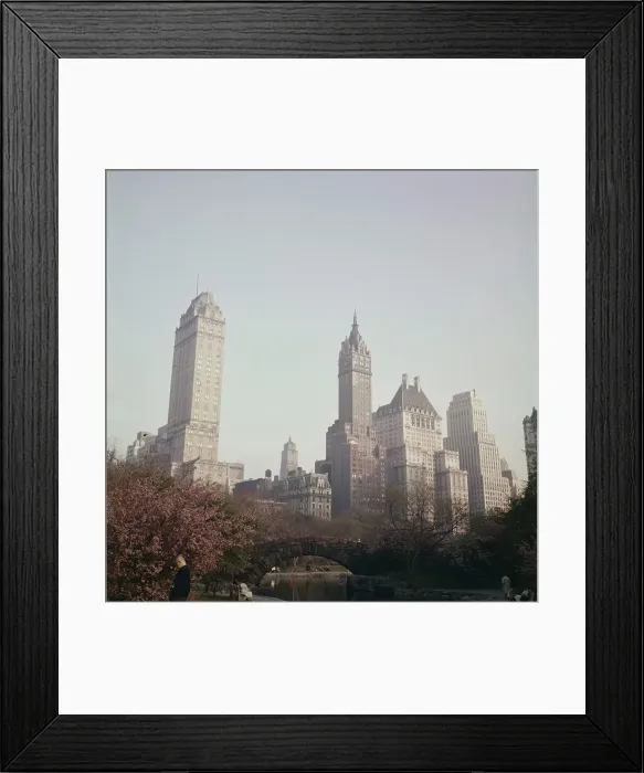 Framed Print : Central Park Framed Print : Central Park