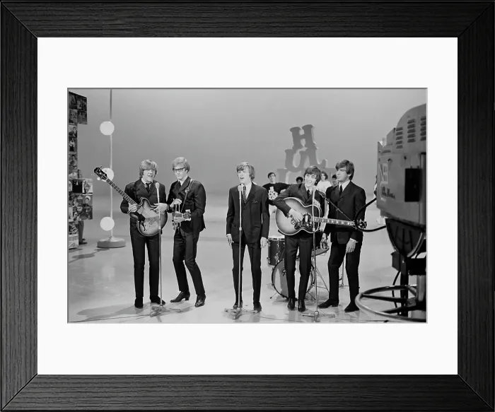 Framed Print : Hermits On Hullabaloo Framed Print : Hermits On Hullabaloo