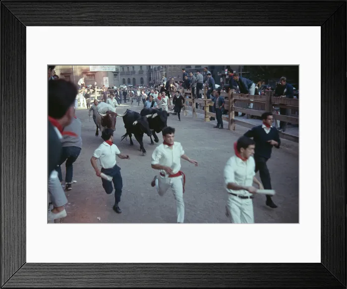 Framed Print : Running Of The Bulls Framed Print : Running Of The Bulls