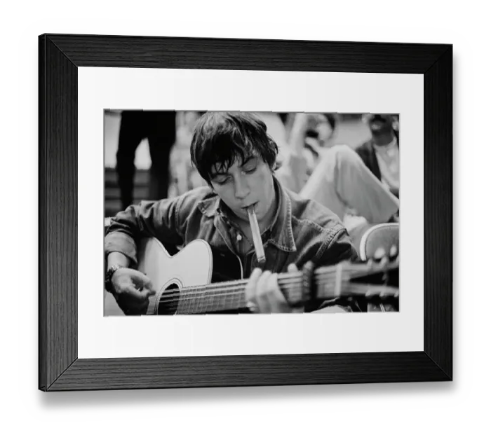 Framed Print : Animal Hullabaloo Framed Print : Animal Hullabaloo