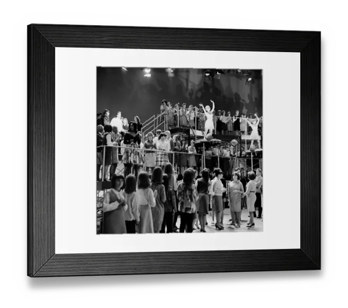 Framed Print : Shivaree Music Variety Show Framed Print : Shivaree Music Variety Show