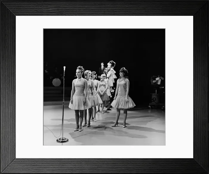 Framed Print : Shivaree Music Variety Show Framed Print : Shivaree Music Variety Show