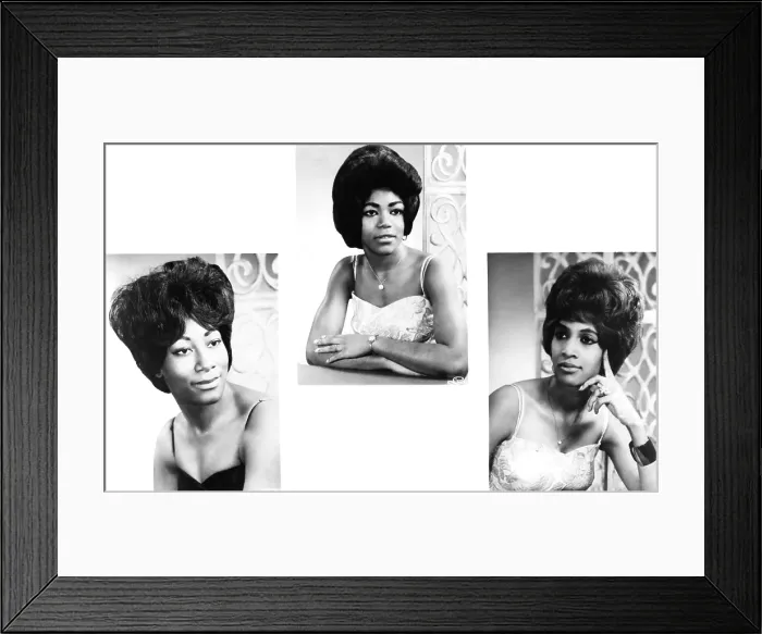 Framed Print : Ikettes Portrait Session Framed Print : Ikettes Portrait Session