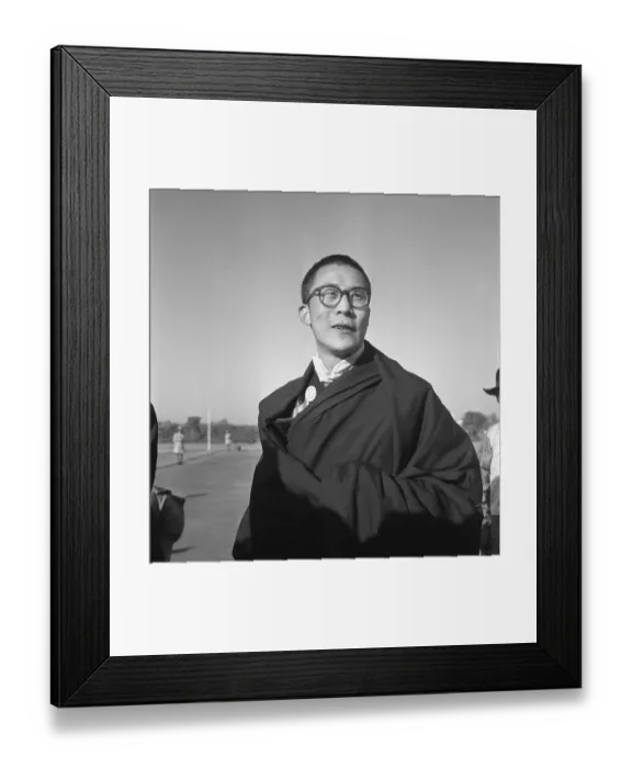 Framed Print : The Dalai Lama Framed Print : The Dalai Lama