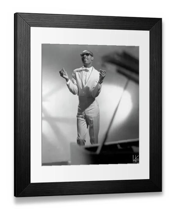 Framed Print : Stevie Wonder Portrait Framed Print : Stevie Wonder Portrait
