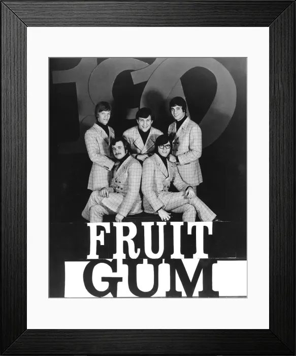 Framed Print : Photo of 1910 Fruitgum Company Framed Print : Photo of 1910 Fruitgum Company