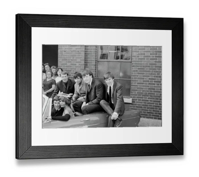 Framed Print : The Animals In New York Framed Print : The Animals In New York