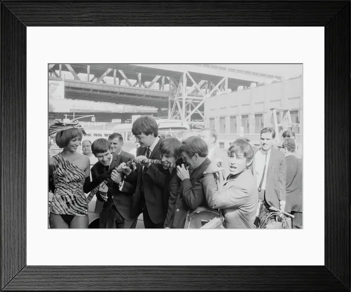 Framed Print : The Animals In New York Framed Print : The Animals In New York