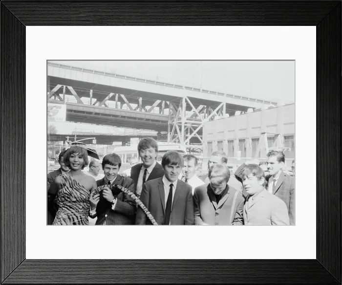 Framed Print : The Animals In New York Framed Print : The Animals In New York