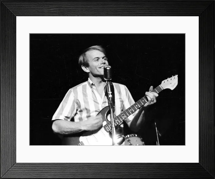 Framed Print : Al Jardine Performing Framed Print : Al Jardine Performing