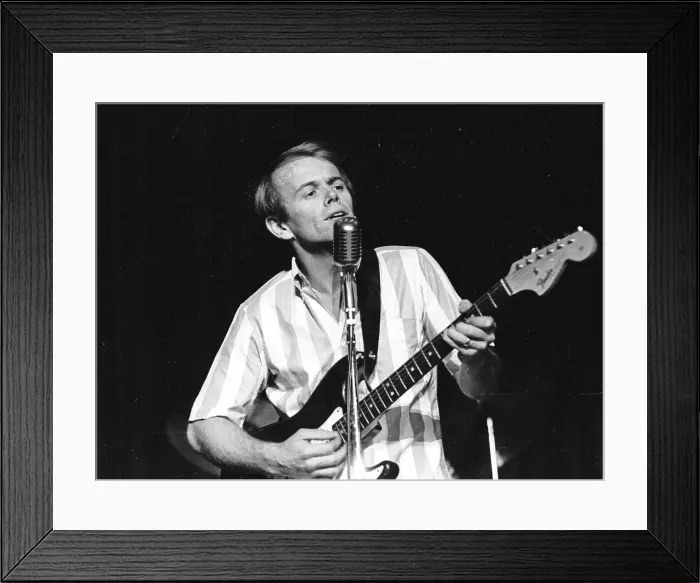 Framed Print : Al Jardine Performing Framed Print : Al Jardine Performing